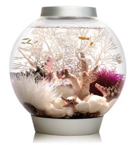 fish bowl with cover