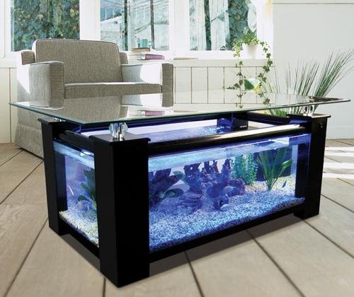 The 3 Best Fish Tank Coffee Tables Available for Sale (With Reviews)