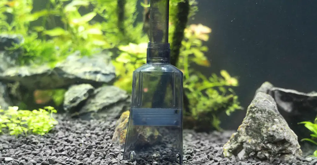 Siphon-gravel-cleaner-tool-in-the-aquarium