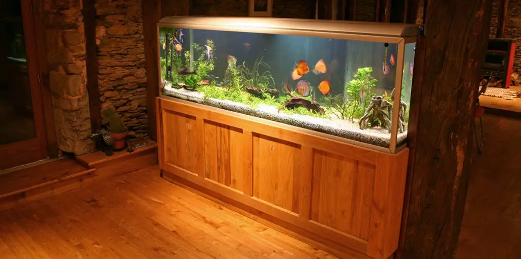 best fish tank stand