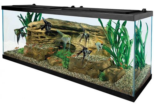 Tetra 55 Gallon Aquarium Kit with Fish Tank