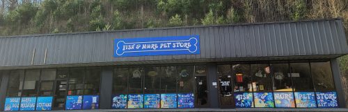 freshwater fish stores near me