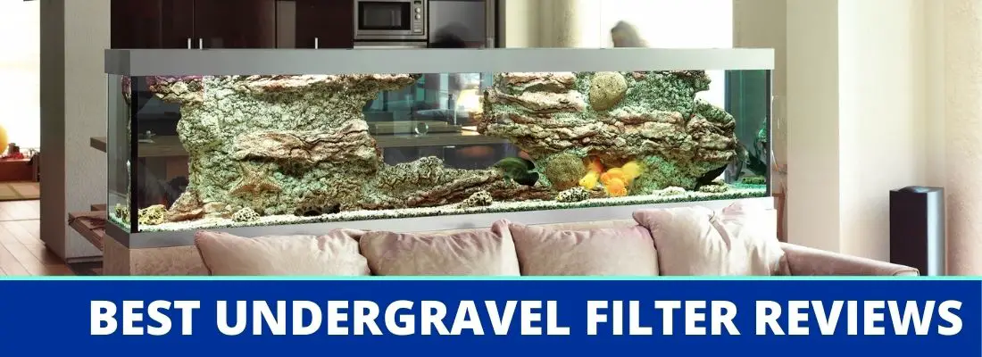 Best Under Gravel Filter for Aquariums and Fish Tanks | Ratings ...