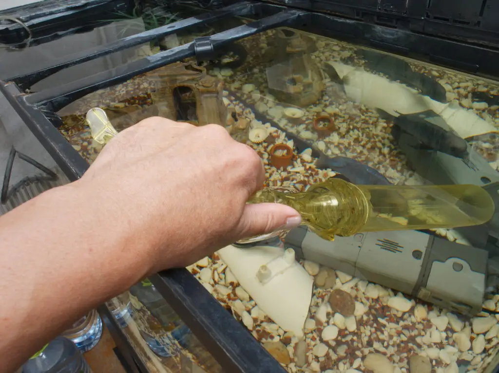 cleaning fish tank